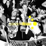 Cocoon Party Animals 2010 im Amesia in Ibiza