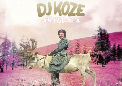 Amygdala - DJ Koze