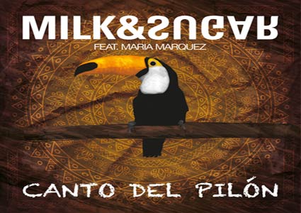 Canto Del Pilón - Milk & Sugar