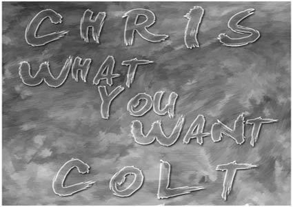 What - You - Want - Chris Colt