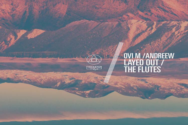 Layed Out / The Flutes - AndReew