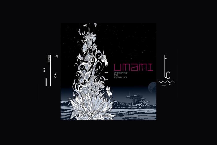 In Exchange For Everything LP - UMAMI